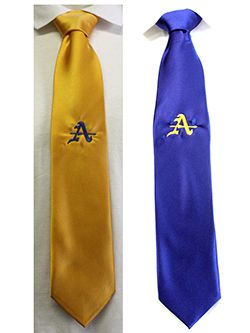 Blue and Gold Tie