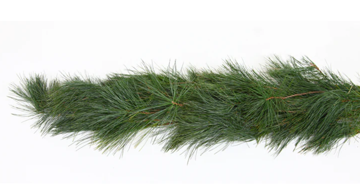 White Pine Garland
