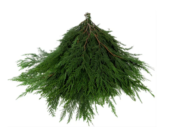 Cedar Bunch